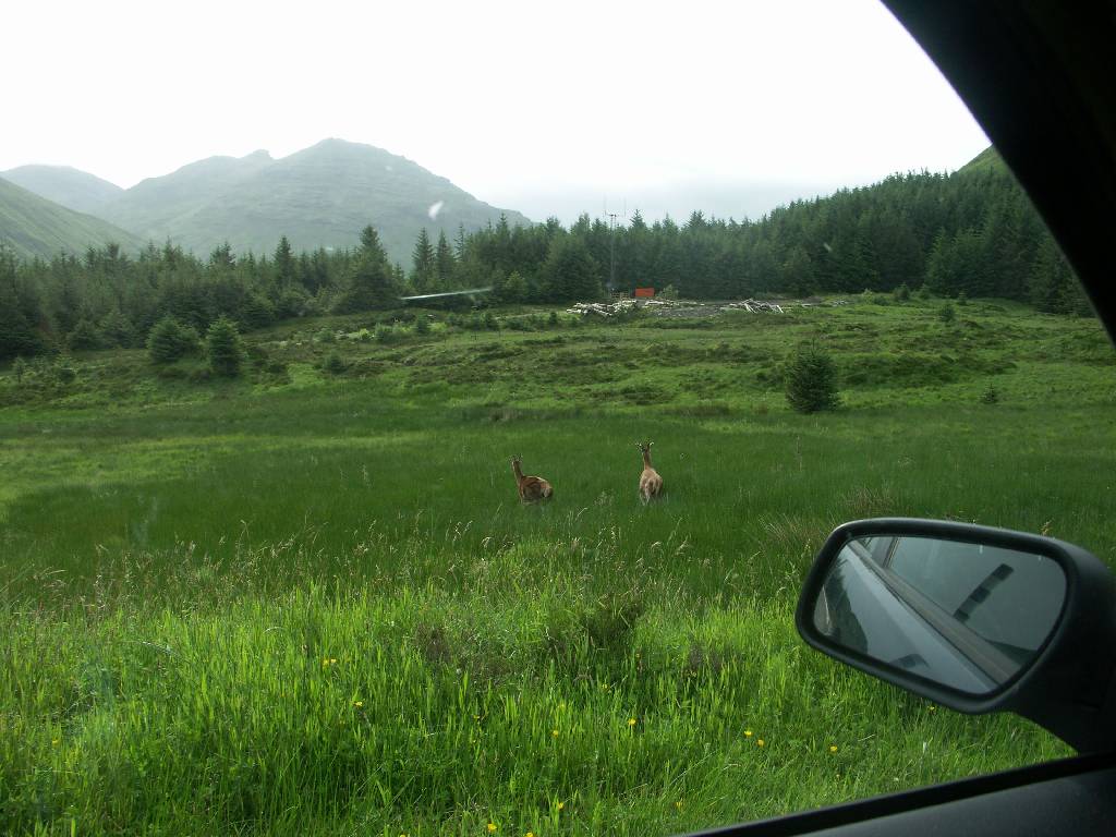 Dal�� sn�mek